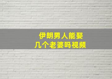 伊朗男人能娶几个老婆吗视频