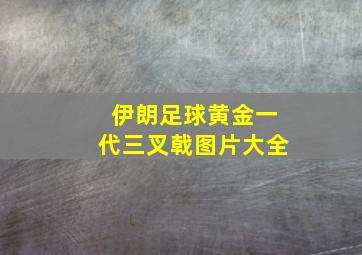 伊朗足球黄金一代三叉戟图片大全