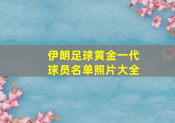 伊朗足球黄金一代球员名单照片大全