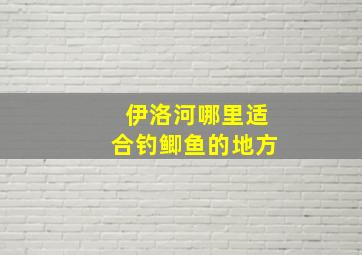 伊洛河哪里适合钓鲫鱼的地方