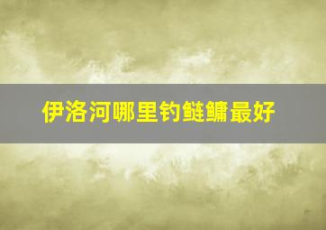 伊洛河哪里钓鲢鳙最好