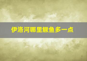 伊洛河哪里鳜鱼多一点