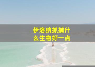 伊洛纳抓捕什么生物好一点