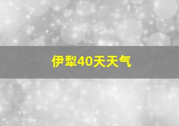 伊犁40天天气