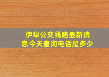 伊犁公交线路最新消息今天查询电话是多少