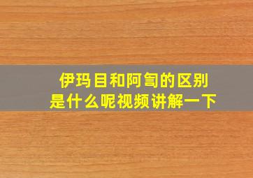 伊玛目和阿訇的区别是什么呢视频讲解一下