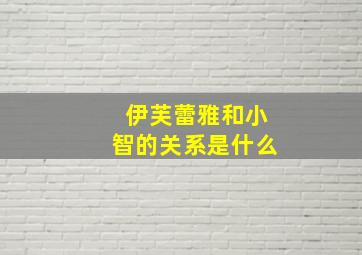 伊芙蕾雅和小智的关系是什么