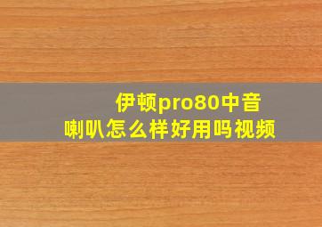 伊顿pro80中音喇叭怎么样好用吗视频