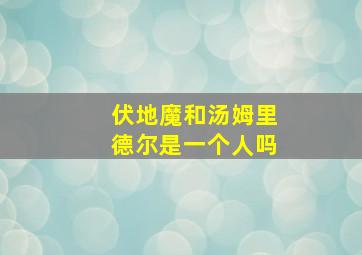 伏地魔和汤姆里德尔是一个人吗