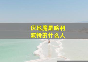 伏地魔是哈利波特的什么人