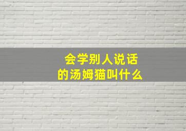 会学别人说话的汤姆猫叫什么