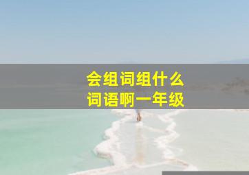 会组词组什么词语啊一年级