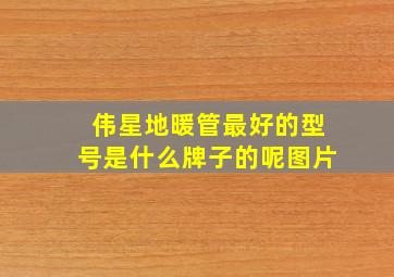 伟星地暖管最好的型号是什么牌子的呢图片