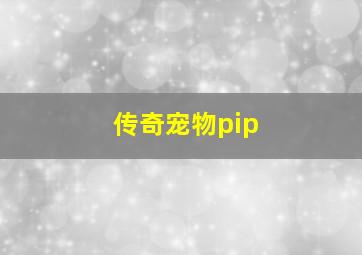 传奇宠物pip