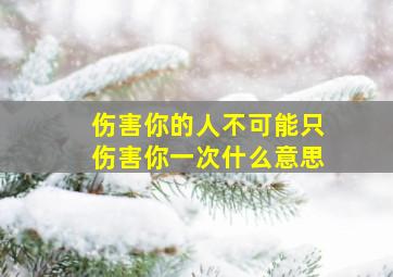 伤害你的人不可能只伤害你一次什么意思