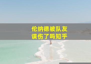 伦纳德被队友误伤了吗知乎