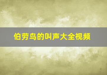 伯劳鸟的叫声大全视频