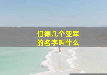 伯德几个亚军的名字叫什么