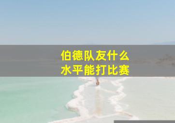 伯德队友什么水平能打比赛