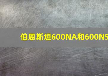 伯恩斯坦600NA和600NS