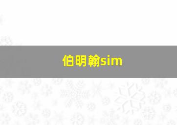 伯明翰sim