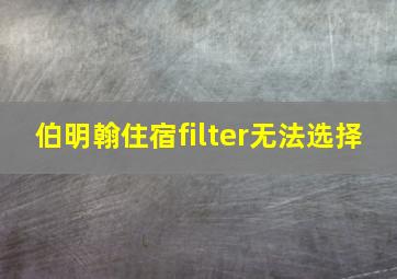 伯明翰住宿filter无法选择