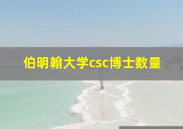 伯明翰大学csc博士数量