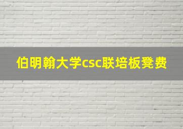 伯明翰大学csc联培板凳费