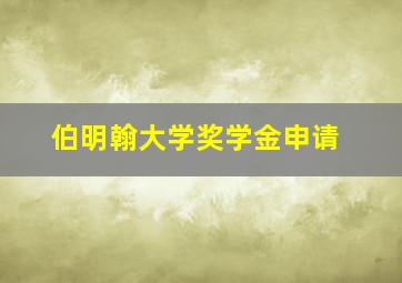 伯明翰大学奖学金申请