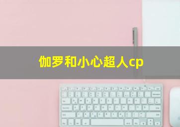 伽罗和小心超人cp