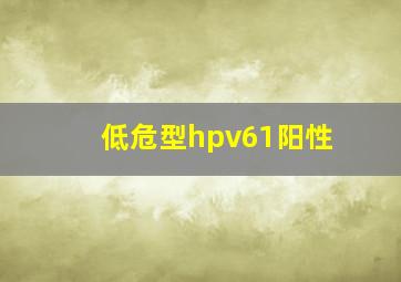 低危型hpv61阳性