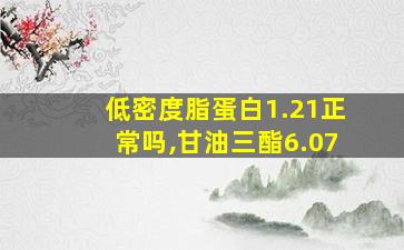 低密度脂蛋白1.21正常吗,甘油三酯6.07