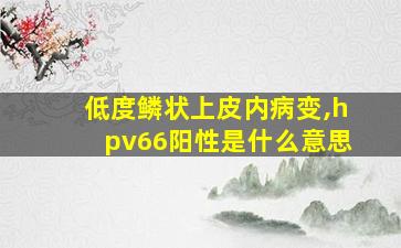 低度鳞状上皮内病变,hpv66阳性是什么意思