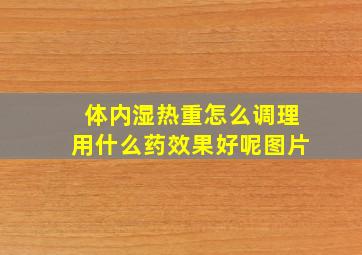 体内湿热重怎么调理用什么药效果好呢图片