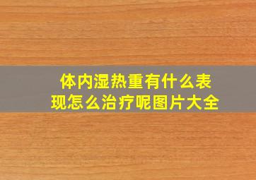 体内湿热重有什么表现怎么治疗呢图片大全