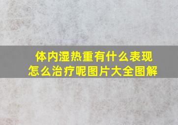 体内湿热重有什么表现怎么治疗呢图片大全图解