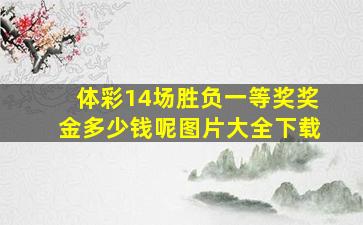 体彩14场胜负一等奖奖金多少钱呢图片大全下载