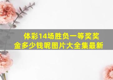 体彩14场胜负一等奖奖金多少钱呢图片大全集最新