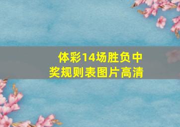 体彩14场胜负中奖规则表图片高清