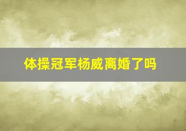 体操冠军杨威离婚了吗