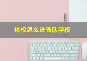 体校怎么进省队学校