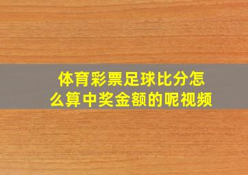 体育彩票足球比分怎么算中奖金额的呢视频