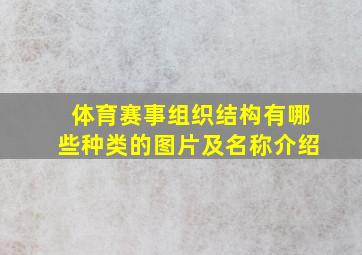 体育赛事组织结构有哪些种类的图片及名称介绍