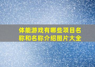 体能游戏有哪些项目名称和名称介绍图片大全