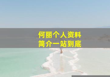 何丽个人资料简介一站到底