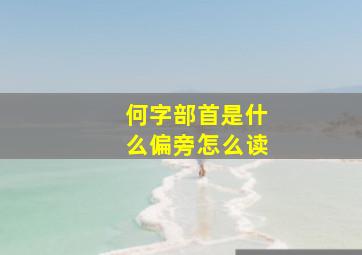 何字部首是什么偏旁怎么读