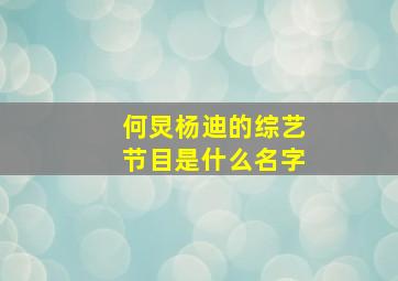 何炅杨迪的综艺节目是什么名字