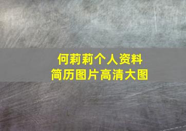 何莉莉个人资料简历图片高清大图