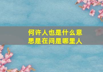 何许人也是什么意思是在问是哪里人