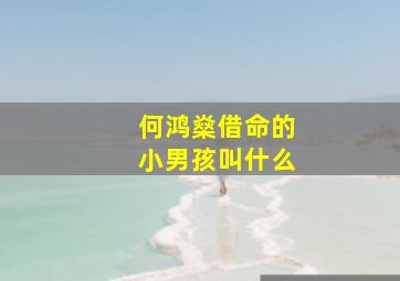 何鸿燊借命的小男孩叫什么